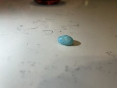 Starburst Ultra RARE Blue Speckled Jelly Bean! Read Description For Information!