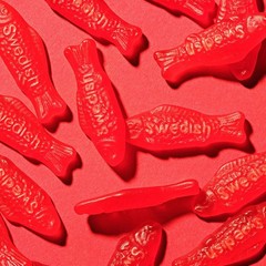 Soft & Chewy Gummy Candy, Bulk Candy, 5 lb
