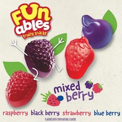 Funables Mixed Berry Fruity Snacks – 22 Count Box, Gluten Free, Fat Free