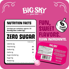 Sugar Free Bubblegum Mints – 50 Count Tin (Pack of 6) | Kosher Certified, Vegan