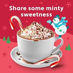 Mini Candy Canes Tub 260 Count Sweet Peppermint Holiday Treats for Sharing