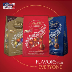 Lindt LINDOR Milk Chocolate Candy Truffles, Milk Chocolate with Melting Truffle
