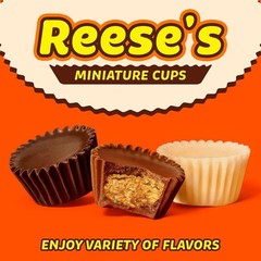 Reese’s PB Cups Miniatures Assortment Bulk Chocolate Halloween Candy (5 Pounds)