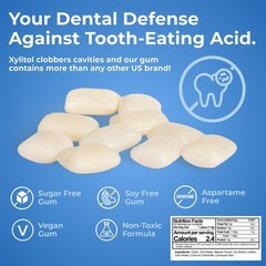 Epic Gum – Aspartame Free 100% Xylitol – Chewing Gum Sugar Free Gum –