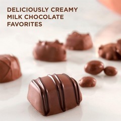 Russell Stover Milk Chocolate Assortment Chocolate Gift Box 9.4 Ounce