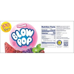 Charms Blow Pop Lollipops Assorted Flavors Gum Filled Candy 100 Count Bulk