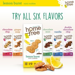 Mini Lemon Burst Cookies, Gluten Free, Nut Free, Vegan, School Safe and Aller…