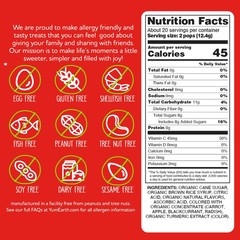 Organic Pops Variety Pack, 40 Fruit Flavored Favorites Lollipops, Allergy Friend