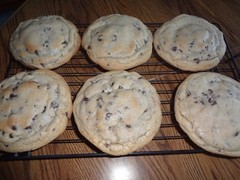 HUGE HOMEMADE HALF POUND CHOCOLATE CHIP COOKIES (CHOICE OF QUANTITY)