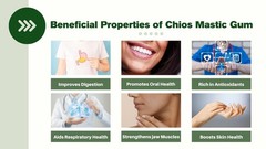 Chios Mastiha Tears Gum Greek 100 Natural Mastic Packs From Mastic Growe G1N