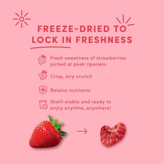 Tru Fru Freeze Dried Strawberries & Crème, 3.4 oz – FREE SHIPPING