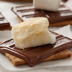 HERSHEY’S Milk Chocolate Candy Bars, 1.55 oz (36 Ounce (Pack of 36)