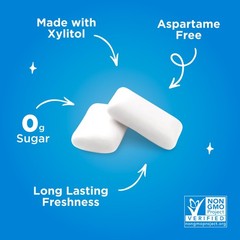 | Aspartame Chewing | 100% Xylitol | Natural Peppermint Flavored , 55 Pieces …