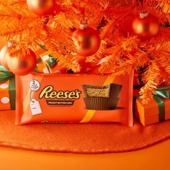REESE’S Milk Chocolate Peanut 16 Ounce, 1 Count (Pack of 1), Red, Black