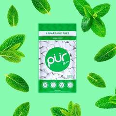 PUR Gum, Aspartame Free Chewing Gum, 100% Xylitol, 55 Pieces (Pack of 3) Best