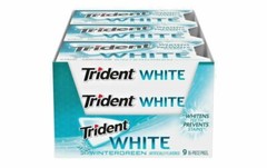 Trident White Wintergreen Sugar Free Gum, 9 Packs of 16 Pieces 144 Total Pcs