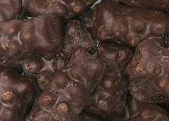 Bayside Candy – Dark Chocolate Covered Gummy Bear Candies