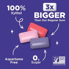 Pur Jumbo Chewing Gum 20 Count Pack Of 3 Sugar Free Fruit Mix Flavors