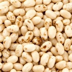 Jelly Belly Mix 1.5 / 3LB – Buttered Popcorn, Toasted Marshmallow & Coconut Mix!