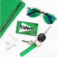Trident Spearmint Sugar-Free Chewing Gum, 3 Packs 14 Count (Pack of 3), Green