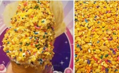 Peanut Brittle crunch Dairy queen 1 lb Krunch Kote Ice Cream Topping, Sprinkles