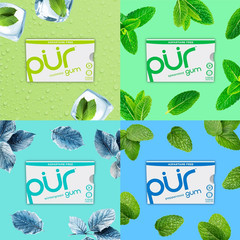 Aspartame Free Chewing Gum Natural Flavored Gum, 9 Pieces Pack of 8