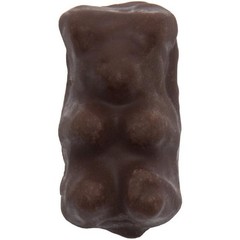 Bayside Candy – Dark Chocolate Covered Gummy Bear Candies