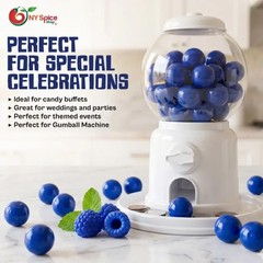 Premium Royal Blue Gumballs – Raspberry Flavor Bulk Bubble Gum Candy Fresh Treat