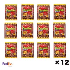 NISSIN CHOCO FLAKES JAPANESE POPULAR SWEETS SNACKS BASIC TASTE 55g X 12 SET