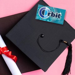 Orbit Wintermint Sugar Free Chewing Gum Pack of 168 Fresh Breath Confidence