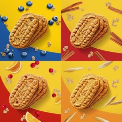 Delicious Breakfast Snacks – 8.8 Ounce (Pack of 12)