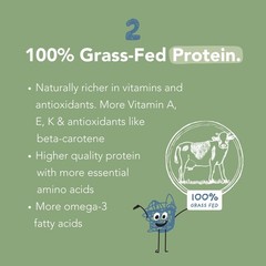 Protein Powder 2 Billion Probiotics Organic Spinach Leaves Natural Flavors