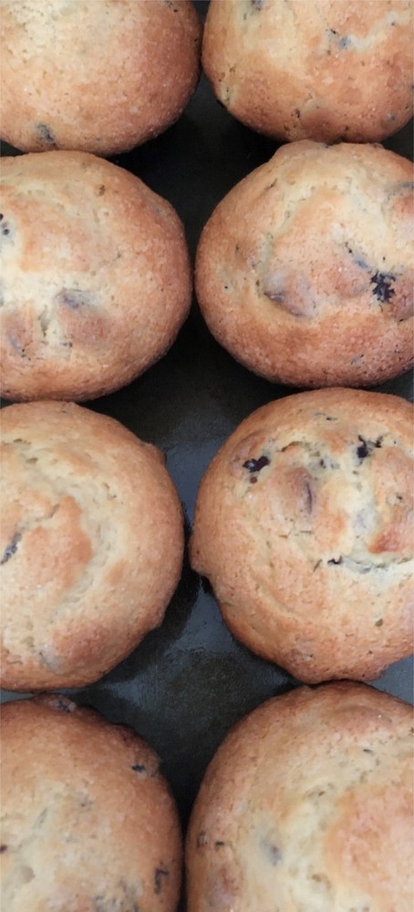 Super Moist Cranberry Orange Muffins * Made with Organic Ingredients