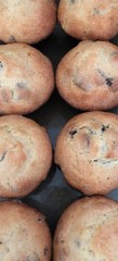 Super Moist Cranberry Orange Muffins * Made with Organic Ingredients