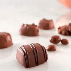 Russell Stover Milk Chocolate Assortment Gift Box 9.4oz Delicious Treats