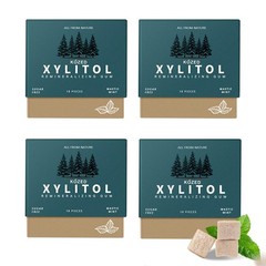 Remineralizing Gum, Mastic Mint, Sugar Free with Xylitol Hydroxyapatite, 18 C…