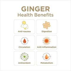 Gin Gins Original Ginger Chews Â Natural Fresh Ginger Candy by the Ginger Peop