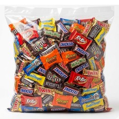 Assorted Fun Size Chocolate Variety Pack 2 LB Bulk