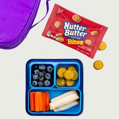 Nabisco Mix Variety Pack, OREO, CHIPS AHOY, Nutter Butter, RITZ, 20 Snack Packs