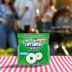Life Savers Wint-O-Green Hard Candy Mints 13 Ounce (Pack of 1), Green