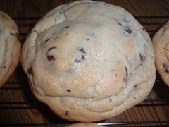 HUGE HOMEMADE HALF POUND CHOCOLATE CHIP COOKIES (CHOICE OF QUANTITY)