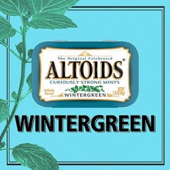 Wintergreen Breath Mints 1.76 oz Tin – 6 Count Pack