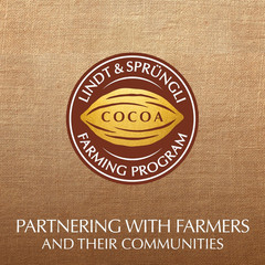 EXCELLENCE 85% Cocoa Dark Chocolate Candy Bar, Dark Chocolate Candy, 3.5 oz. Bar
