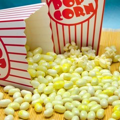 Gift Bag, Buttered Popcorn