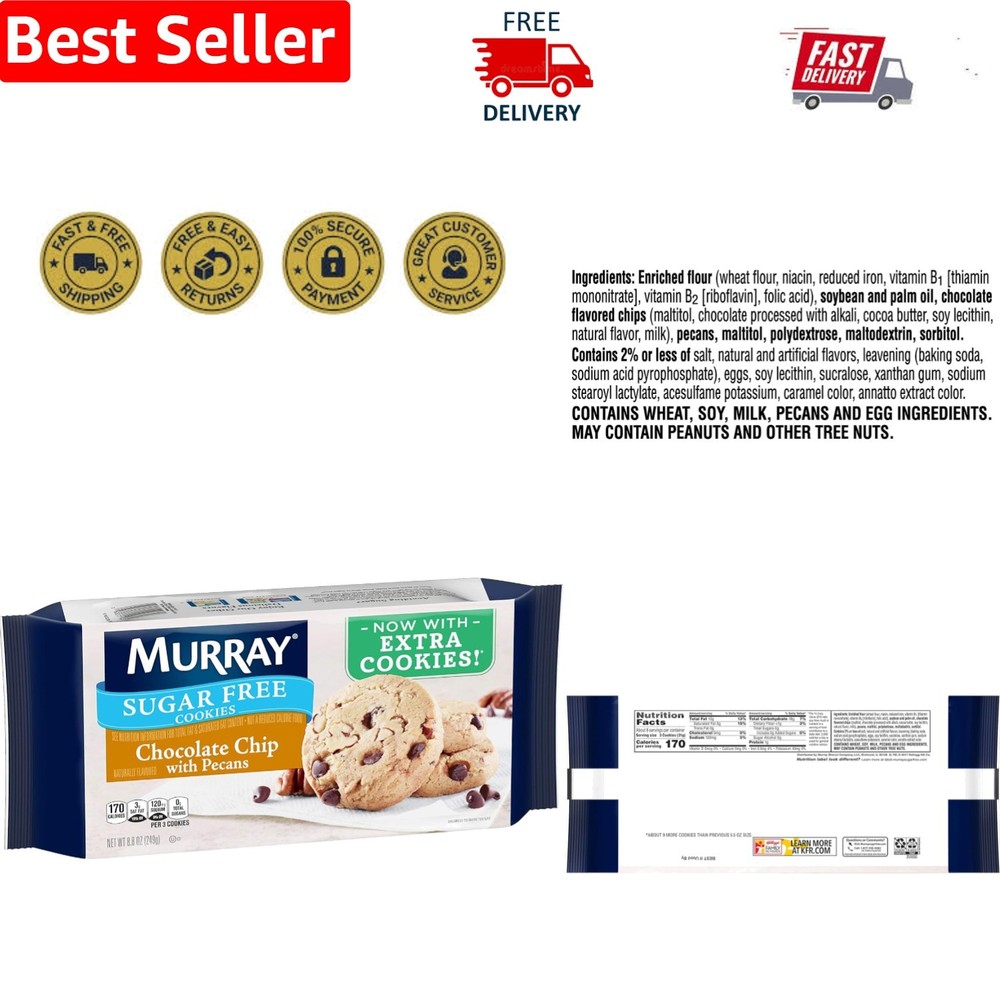 Satisfy Sugar Cravings with Kosher Chocolate Chip & Pecan Cookies – 8.8 Ounces