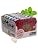 VerMints Organic Breath Mints – Peppermint, Ginger, Wintergreen, Cinnamon, Chai