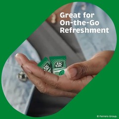 Freshmints, Bulk Bag with 100 Mini Packs 4 Mints Each, Share-Size, On-the-Go,…