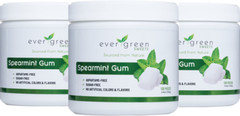Evergreen Sweets Spearmint Gum Made with Xylitol and Stevia 100 count 3 Pack Jar