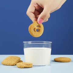 Keto Butter Cookies, Sugar Free Danish Shortbread, Gluten Free, Low Carb, High F