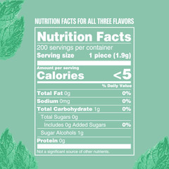 Peppermint, Spearmint, & Wintermint Assorted Sugar Free Chewing Gum Bulk Pack, 1